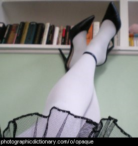 Photo of opaque stockings