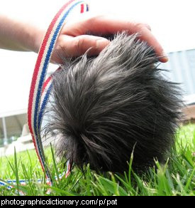 Photo of a hand patting a small dog