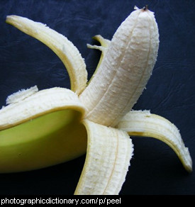 Photo of a peeled banana.