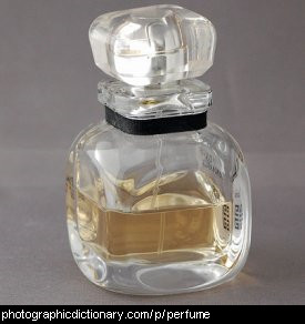Photo of a bottle of perfume