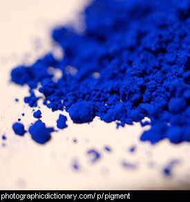 Photo of blue pigment