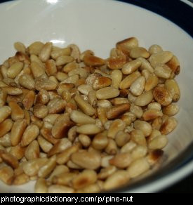 Photo of pine nuts