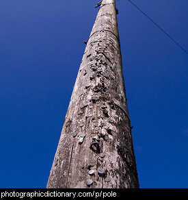 Photo of a pole