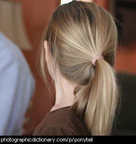 Photo of a girl with a ponytail