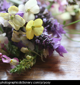 Photo of a posy of flowers
