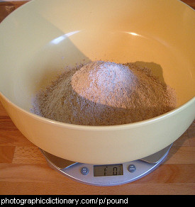 Photo of a pound of flour