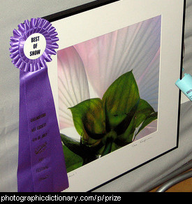 Photo of a prize winning painting
