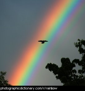 Photo of a rainbow