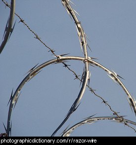 Photo of some razor wire