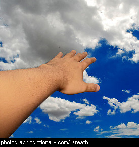 Photo of someone reaching for the sky