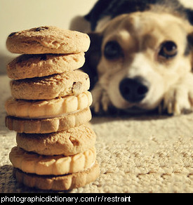 Photo of a dog showing restraint