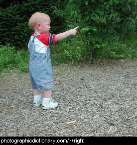 Photo of a child pointing right