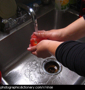 Photo of someone rinsing a tomato