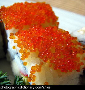 Photo of roe on sushi
