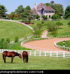 Photo of a rural scene