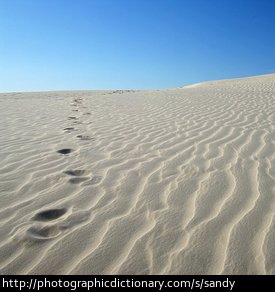 Sandy desert.
