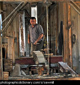 Photo of a man working in a sawmill