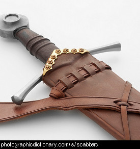 Photo of a sword in a scabbard.
