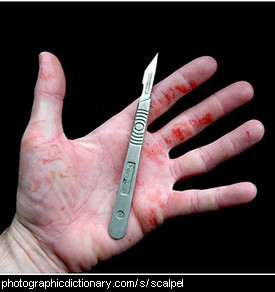 Photo of a scalpel