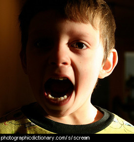 Photo of a boy screaming