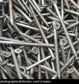 Photo of screws