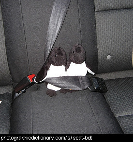 Photo of a seat belt.