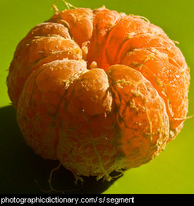 Photo of mandarin segments