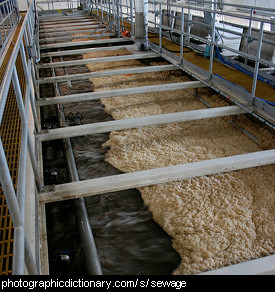Photo of wastewater treatment