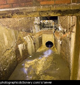 Photo taken inside a sewer
