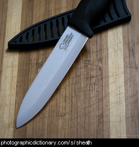 Photo of a knife and sheath
