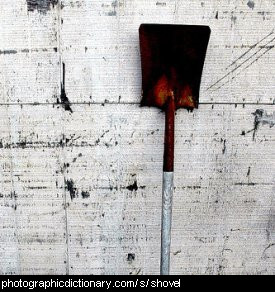 Photo of a shovel
