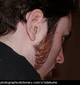 Photo of a man with sideburns