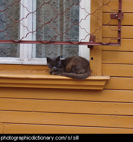 Photo of a cat on a window sill