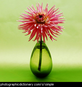 Photo of a vase with a single flower