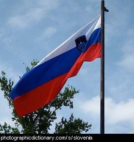 Photo of the Slovenia flag