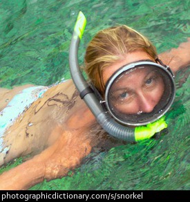 Photo of a woman swimming with a snorkel