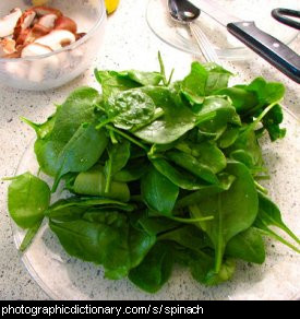 Photo of spinach