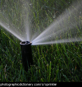 Photo of a sprinkler