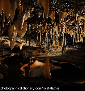 Photo of stalactites