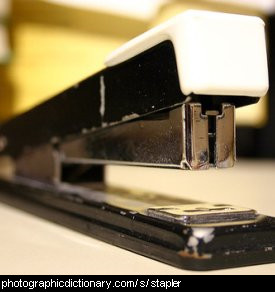 Photo of a stapler