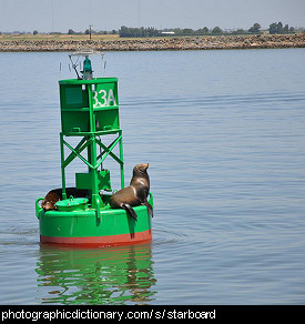 Photo of a green buoy