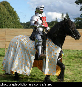 Photo of a knight on his steed