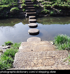 Photo of stepping stones
