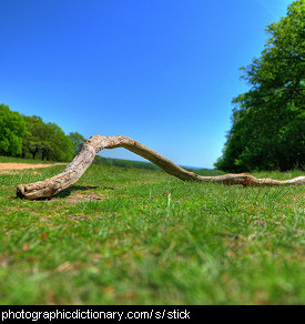 Photo of a stick
