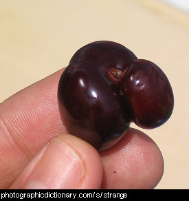 Photo of a strange looking cherry