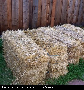 Photo of some straw bales