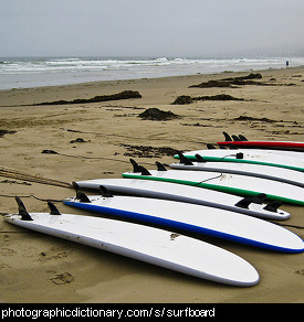 Photo of surfboards
