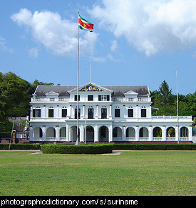 Photo of the Suriname flag