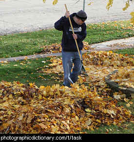 Photo of a man raking leaves