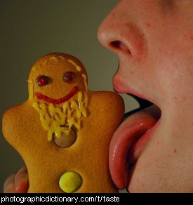 Photo of someone licking a gingerbread man